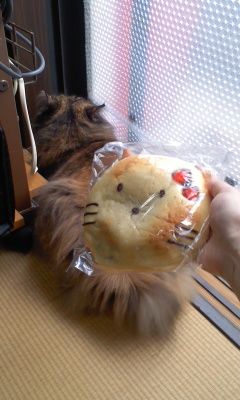 キティちゃんにキティパン